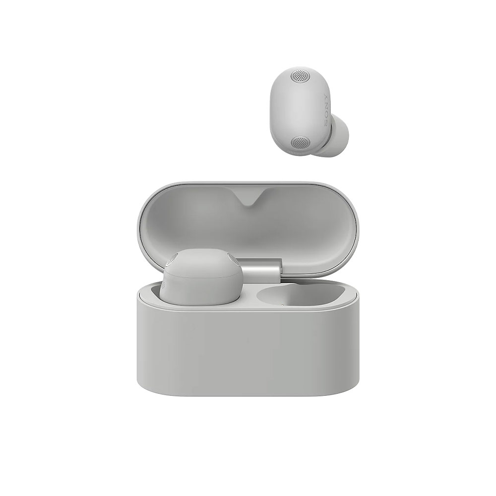 Беспроводные наушники Sony WF-1000XM6 Platinum Silver (Серый)