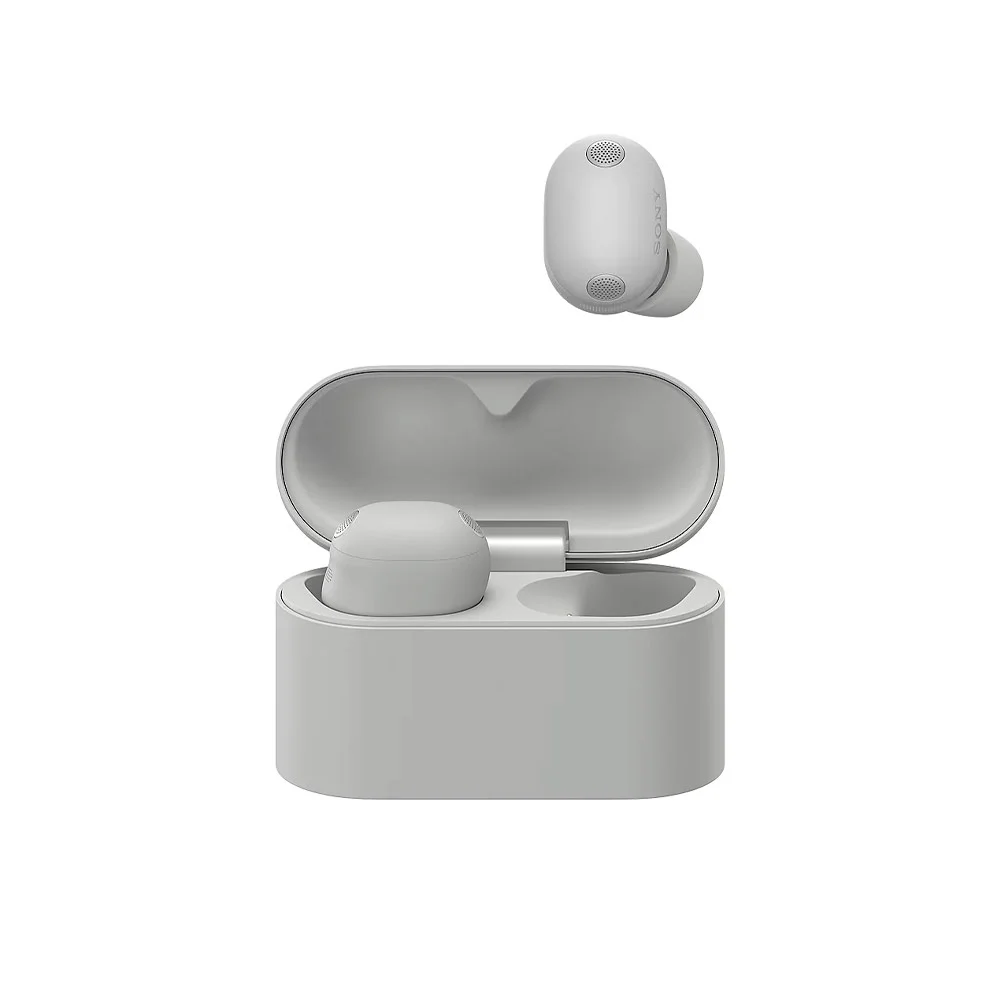 Беспроводные наушники Sony WF-1000XM6 Platinum Silver (Серый)