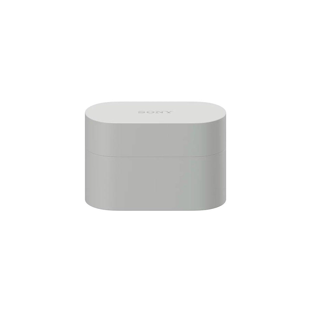 Беспроводные наушники Sony WF-1000XM6 Platinum Silver (Серый)