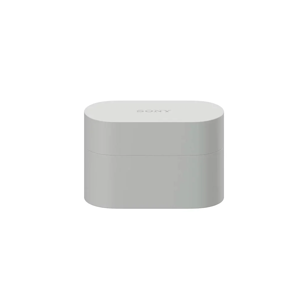 Беспроводные наушники Sony WF-1000XM6 Platinum Silver (Серый)