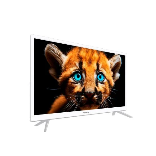 Телевизор 24" Topdevice TDTV24BS02H_WE (HD 1366x768, Smart TV) Белый