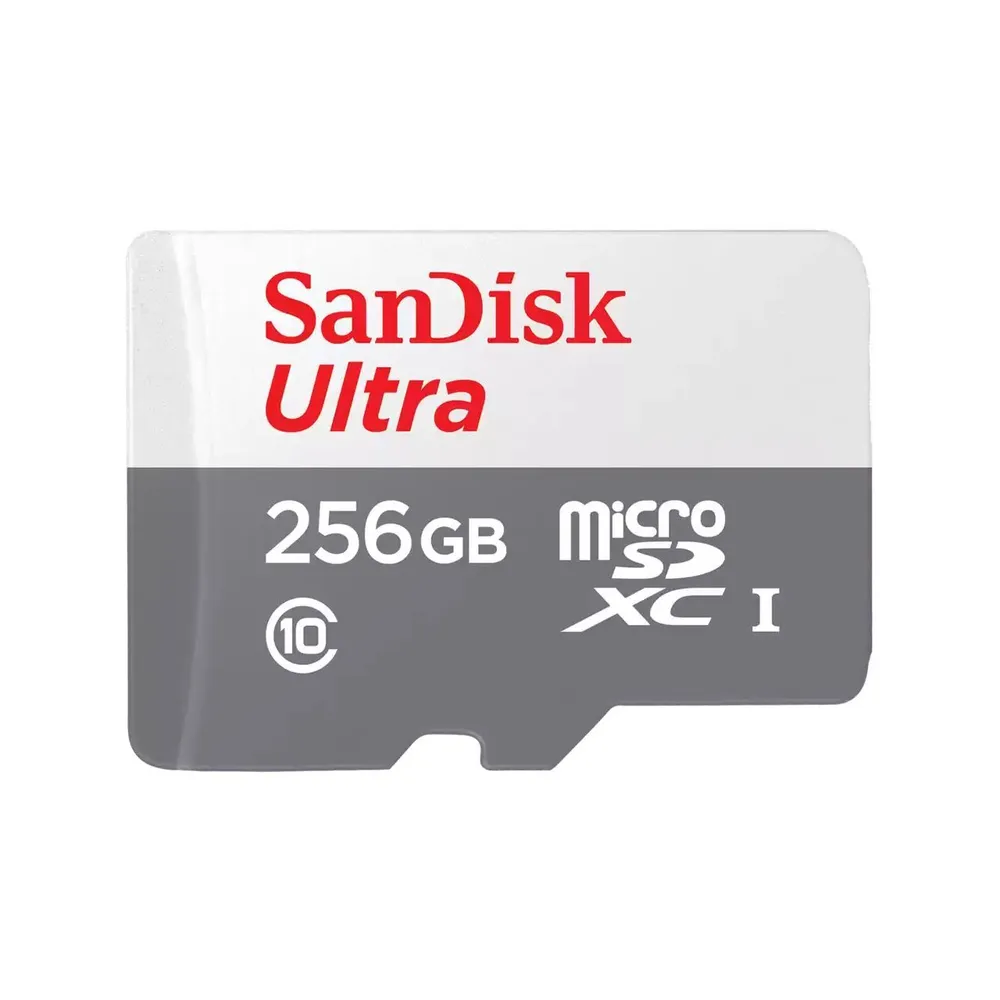 Карта памяти SanDisk Ultra microSDHC 256GB 100MB/s