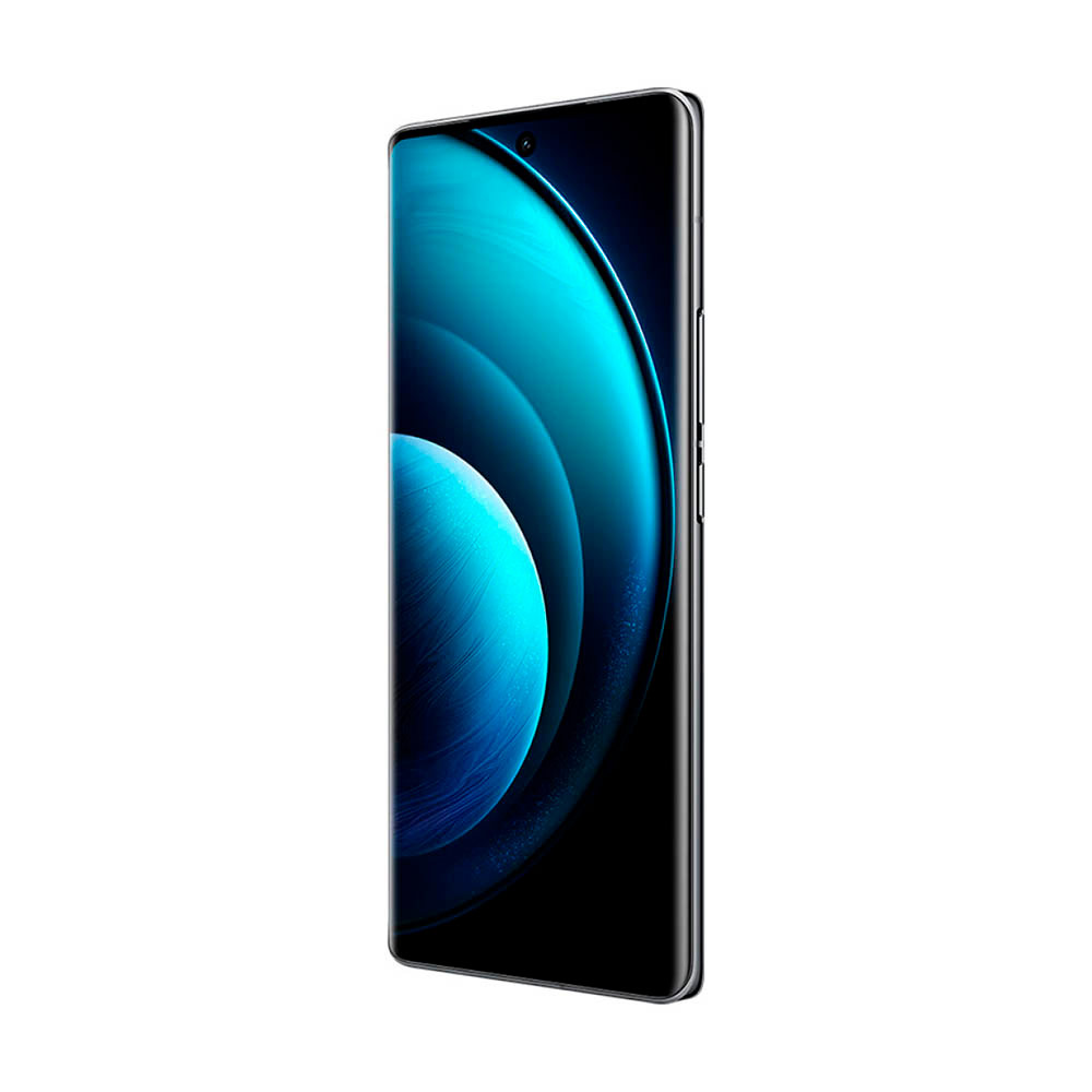 Смартфон Vivo X100 12/256Gb Asteroid Black (Черный) CN